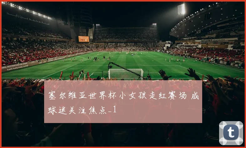 塞尔维亚世界杯小女孩走红赛场 成球迷关注焦点_1