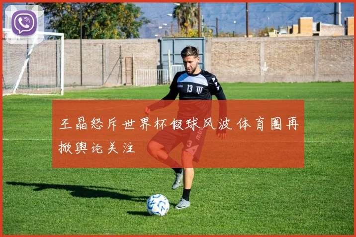 王晶怒斥世界杯假球风波 体育圈再掀舆论关注